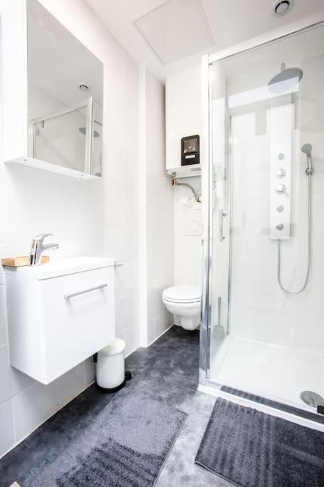 Flandres Appart' Hotel Par Nocnoc - Schepers 里尔 外观 照片